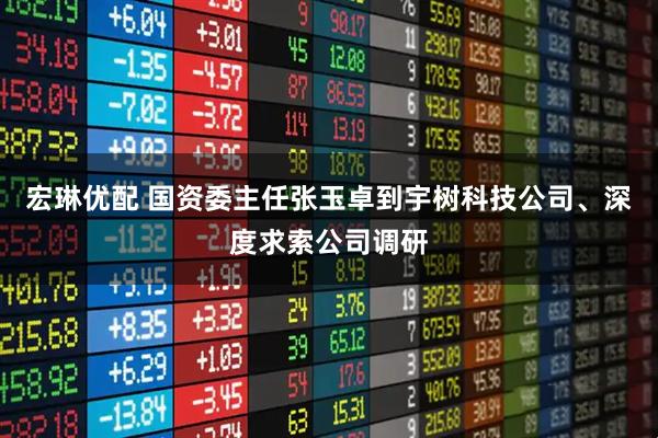 宏琳优配 国资委主任张玉卓到宇树科技公司、深度求索公司调研