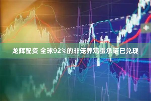 龙辉配资 全球92%的非笼养鸡蛋承诺已兑现
