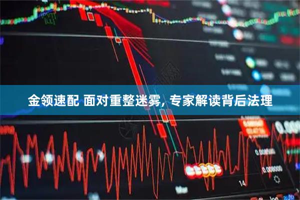 金领速配 面对重整迷雾, 专家解读背后法理