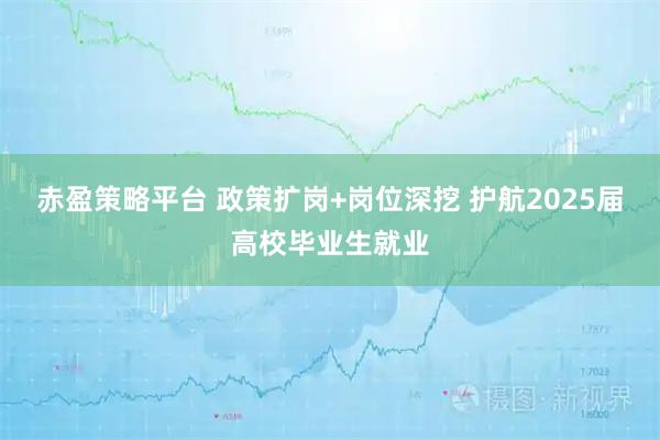 赤盈策略平台 政策扩岗+岗位深挖 护航2025届高校毕业生就业